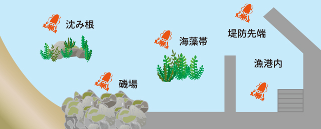 1681524580231281.jpeg p603_tokutyou_05.jpeg